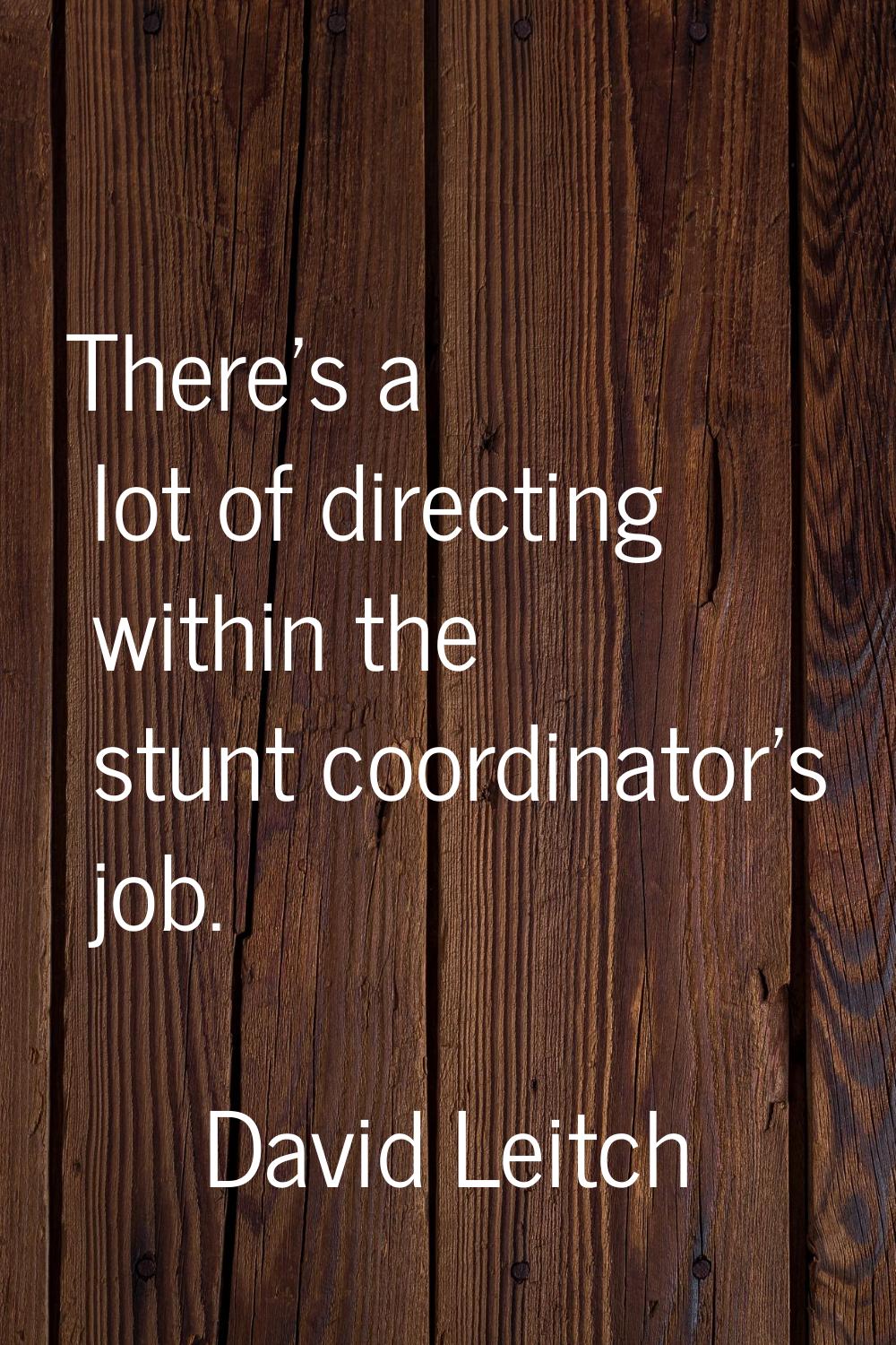 There's a lot of directing within the stunt coordinator's job.
