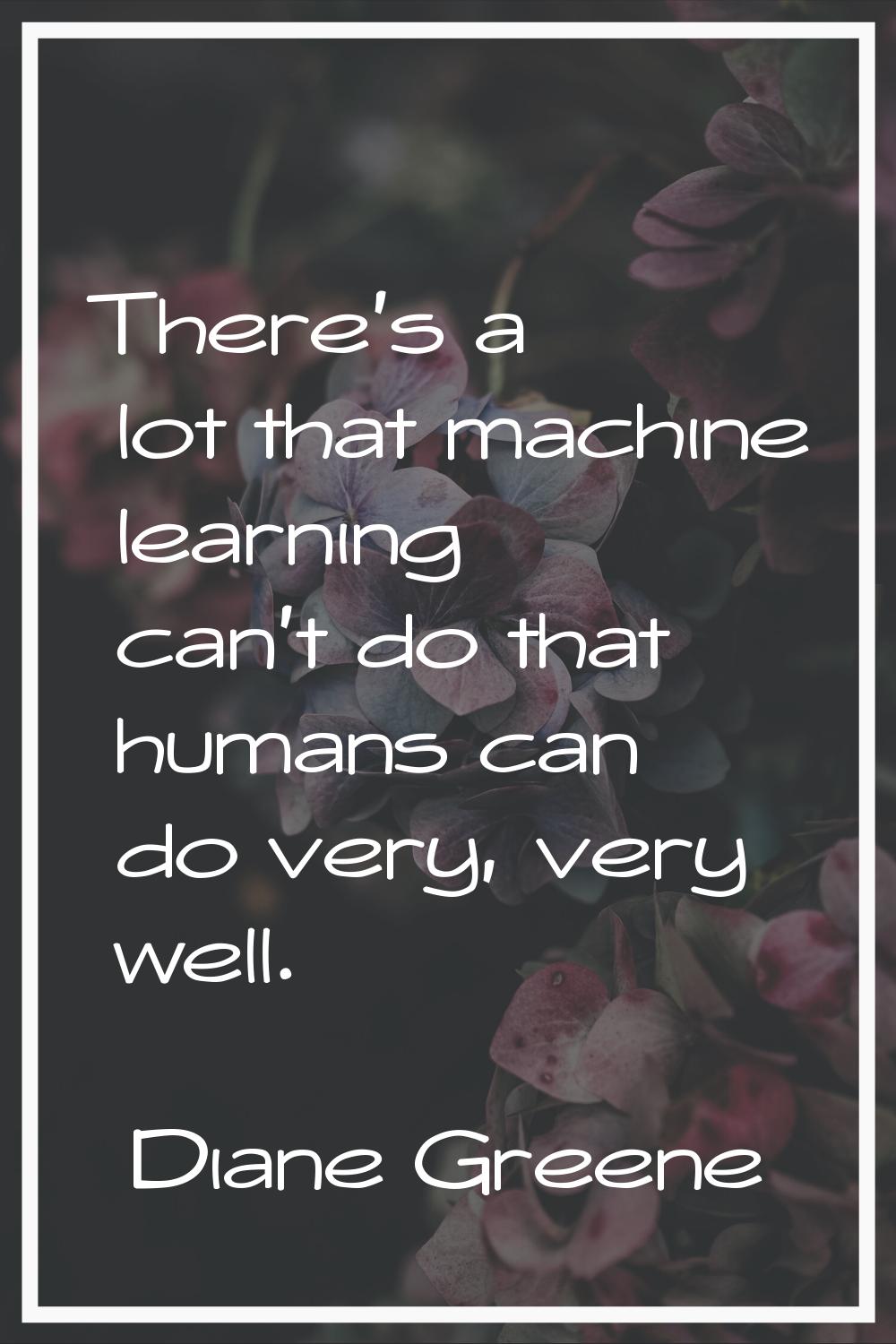 There's a lot that machine learning can't do that humans can do very, very well.