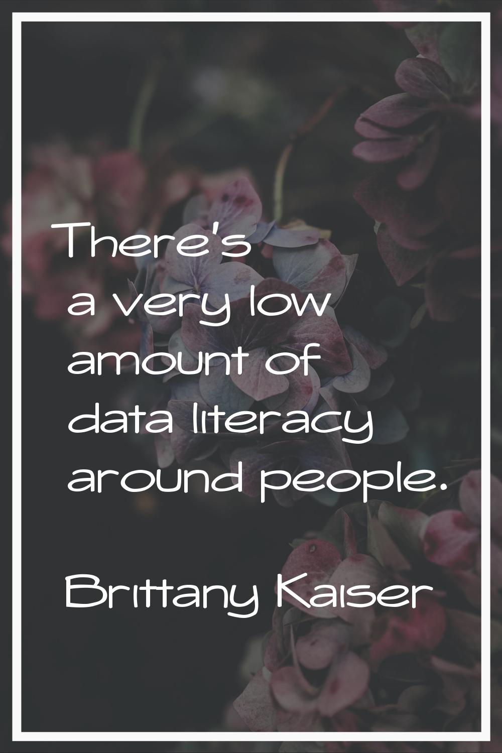 There's a very low amount of data literacy around people.