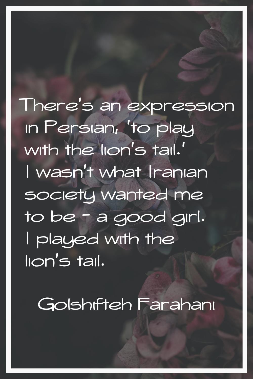 There's an expression in Persian, 'to play with the lion's tail.' I wasn't what Iranian society wan