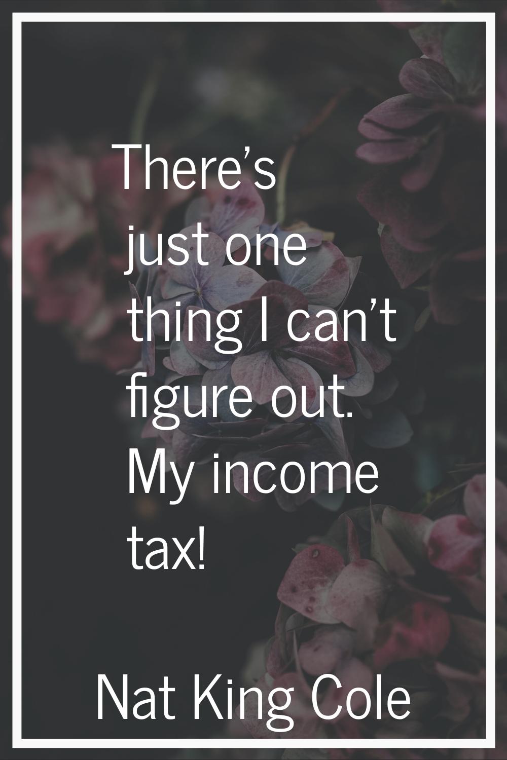 There's just one thing I can't figure out. My income tax!