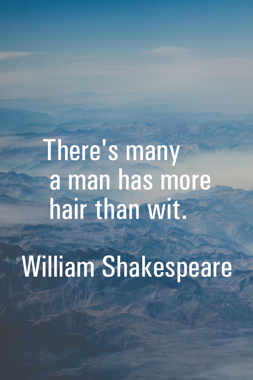 There's many a man has more hair than wit.