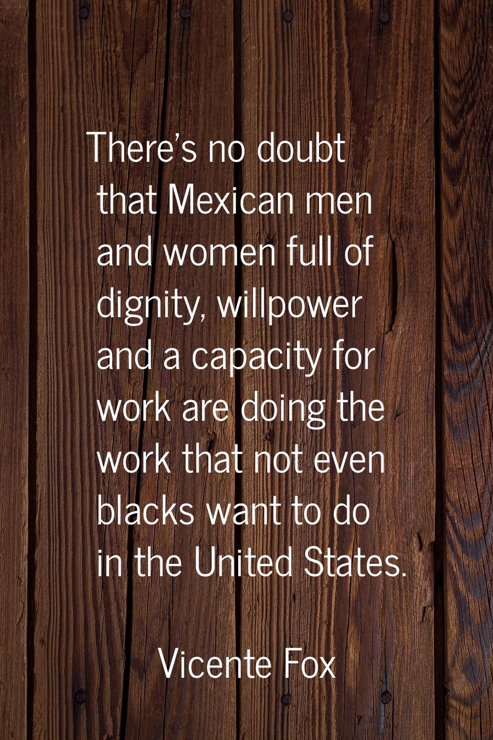 There's no doubt that Mexican men and women full of dignity, willpower and a capacity for work are 