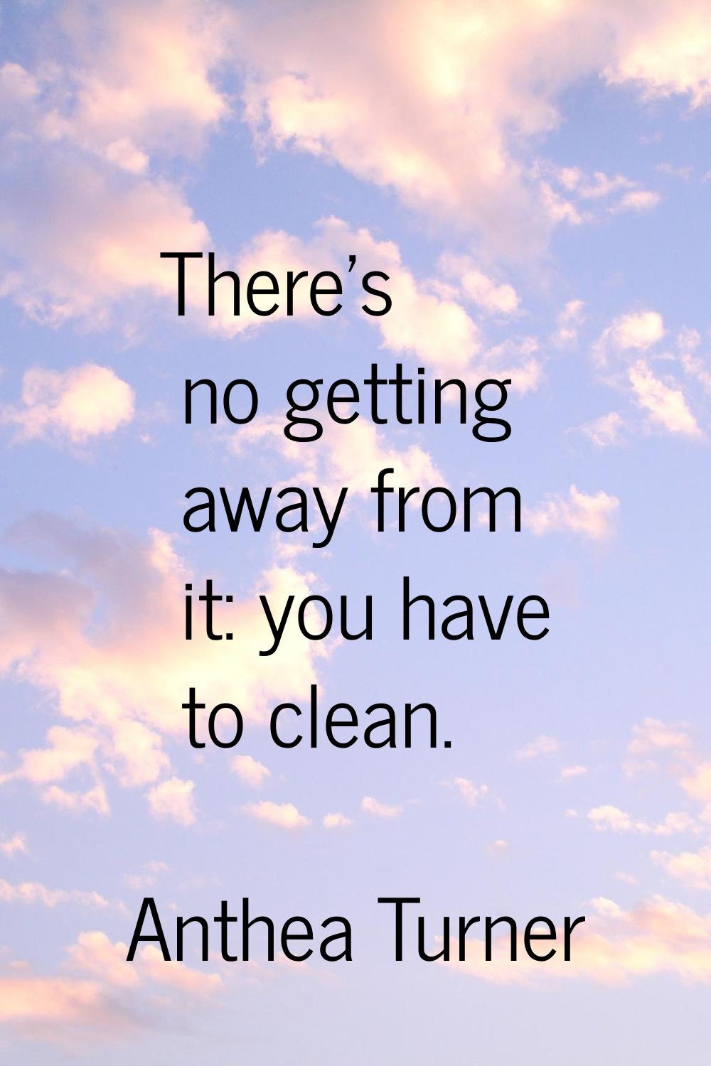 There's no getting away from it: you have to clean.