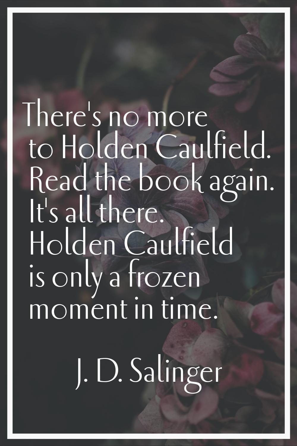 There's no more to Holden Caulfield. Read the book again. It's all there. Holden Caulfield is only 