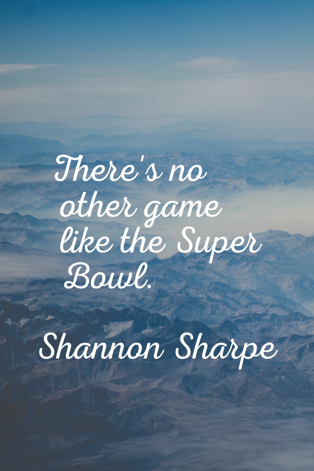 There's no other game like the Super Bowl.
