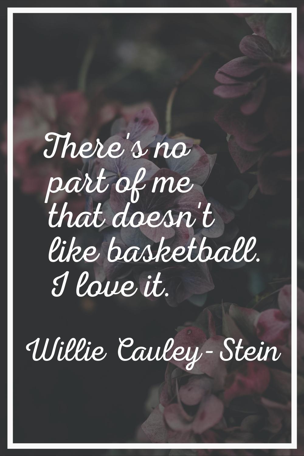 There's no part of me that doesn't like basketball. I love it.