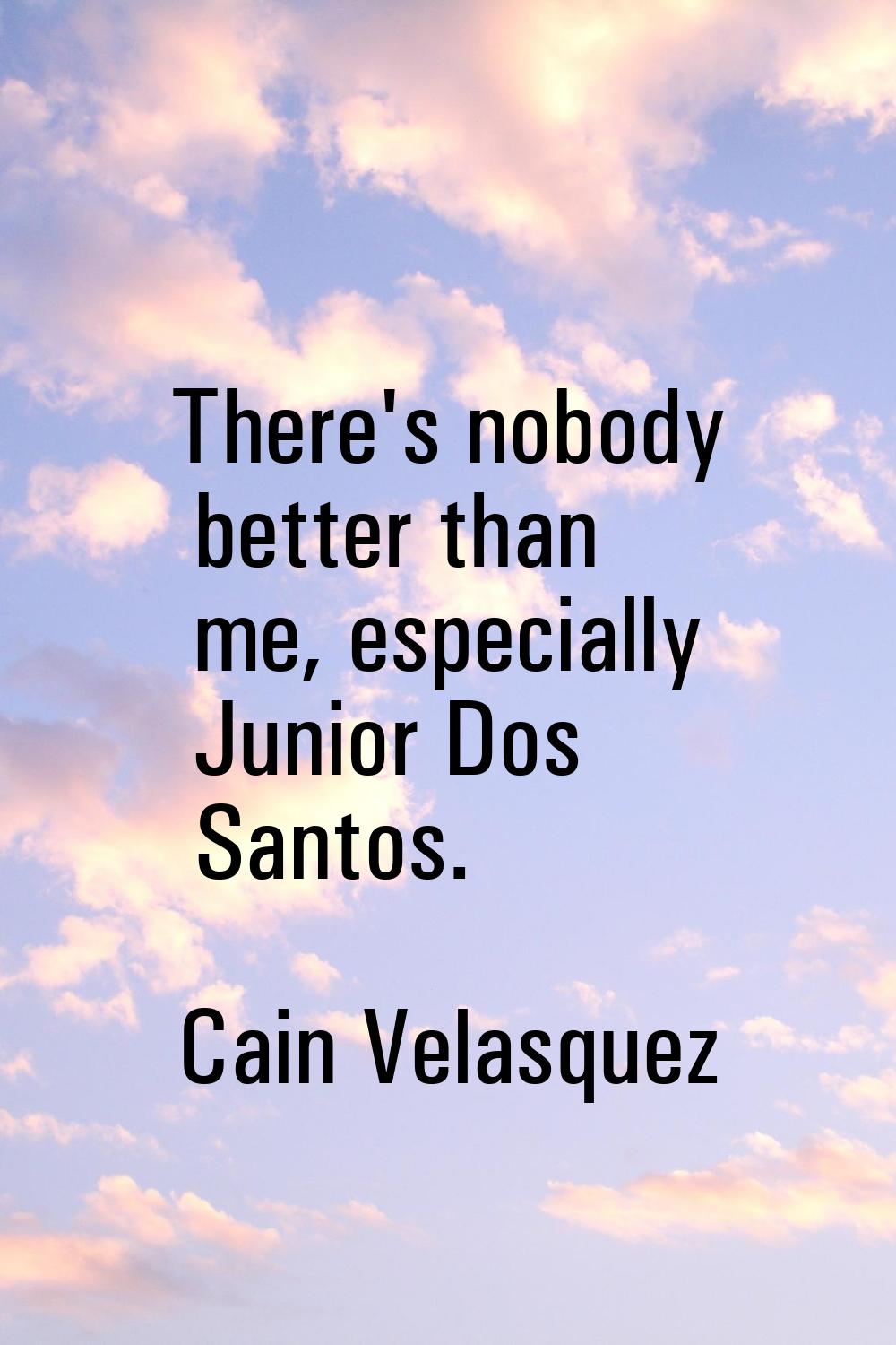 There's nobody better than me, especially Junior Dos Santos.