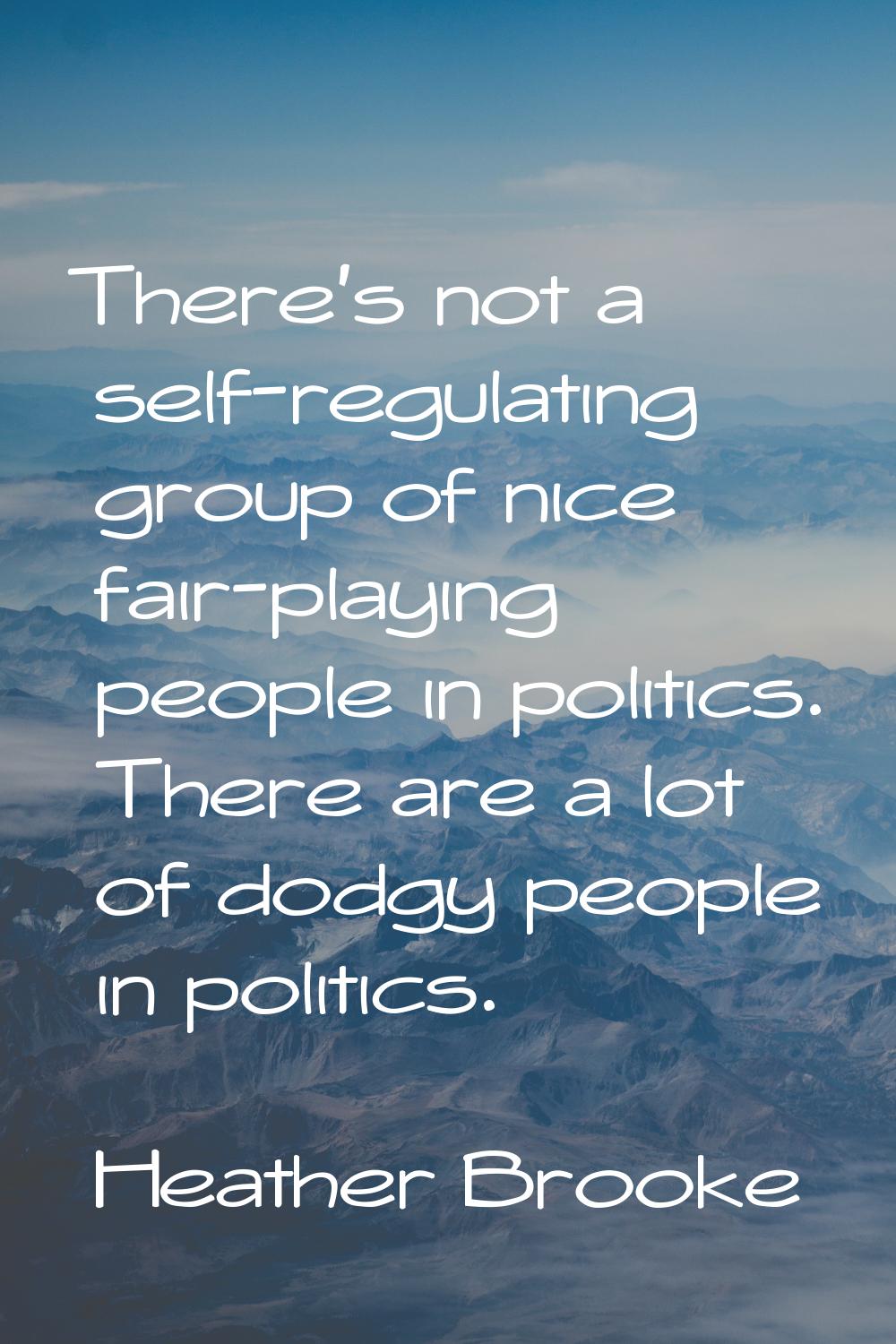 There's not a self-regulating group of nice fair-playing people in politics. There are a lot of dod