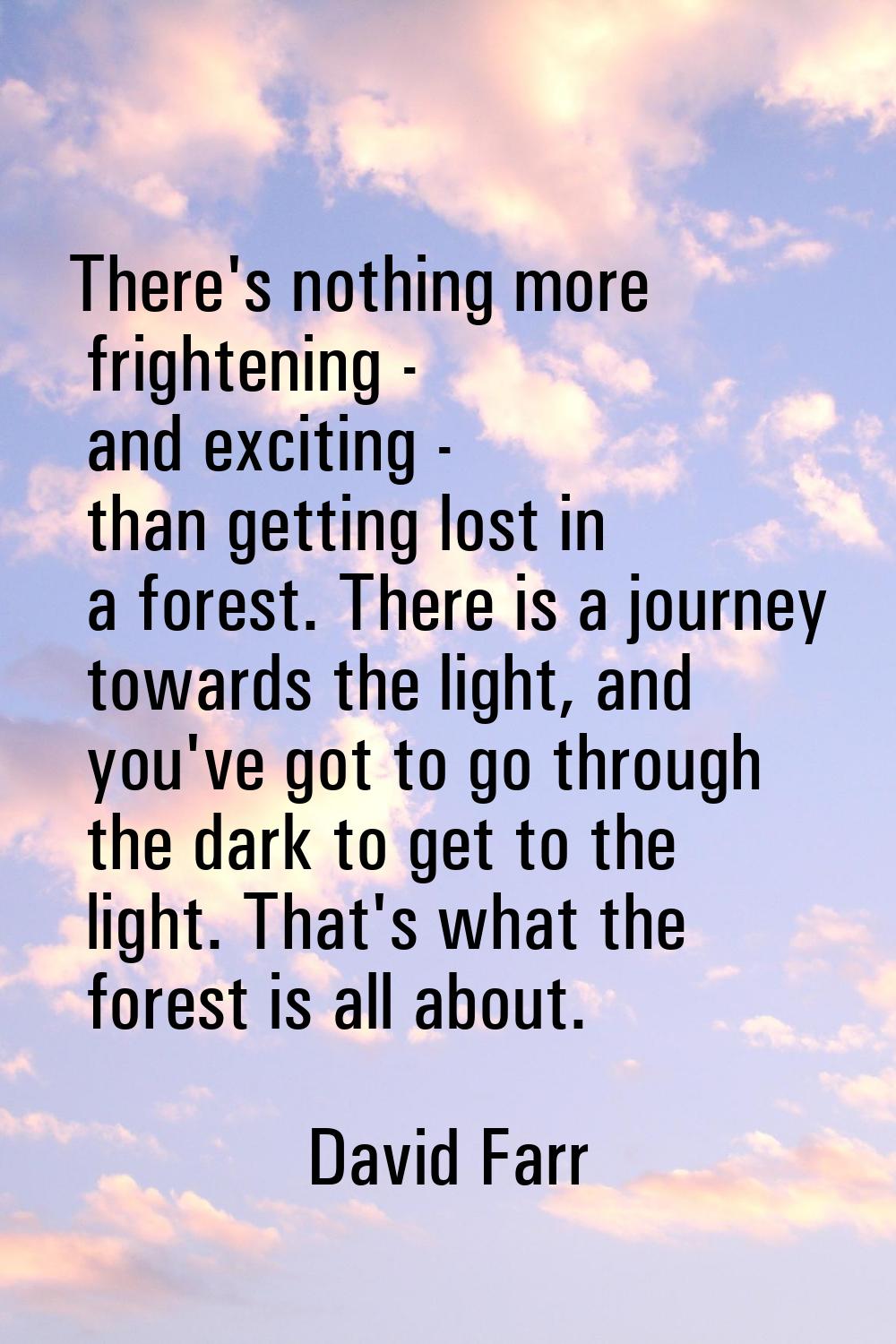 There's nothing more frightening - and exciting - than getting lost in a forest. There is a journey