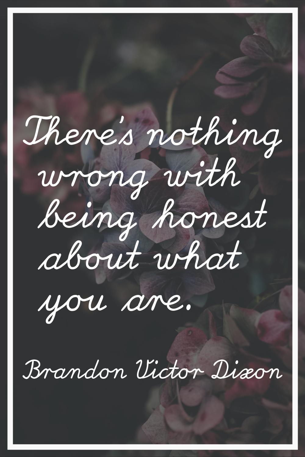 There's nothing wrong with being honest about what you are.