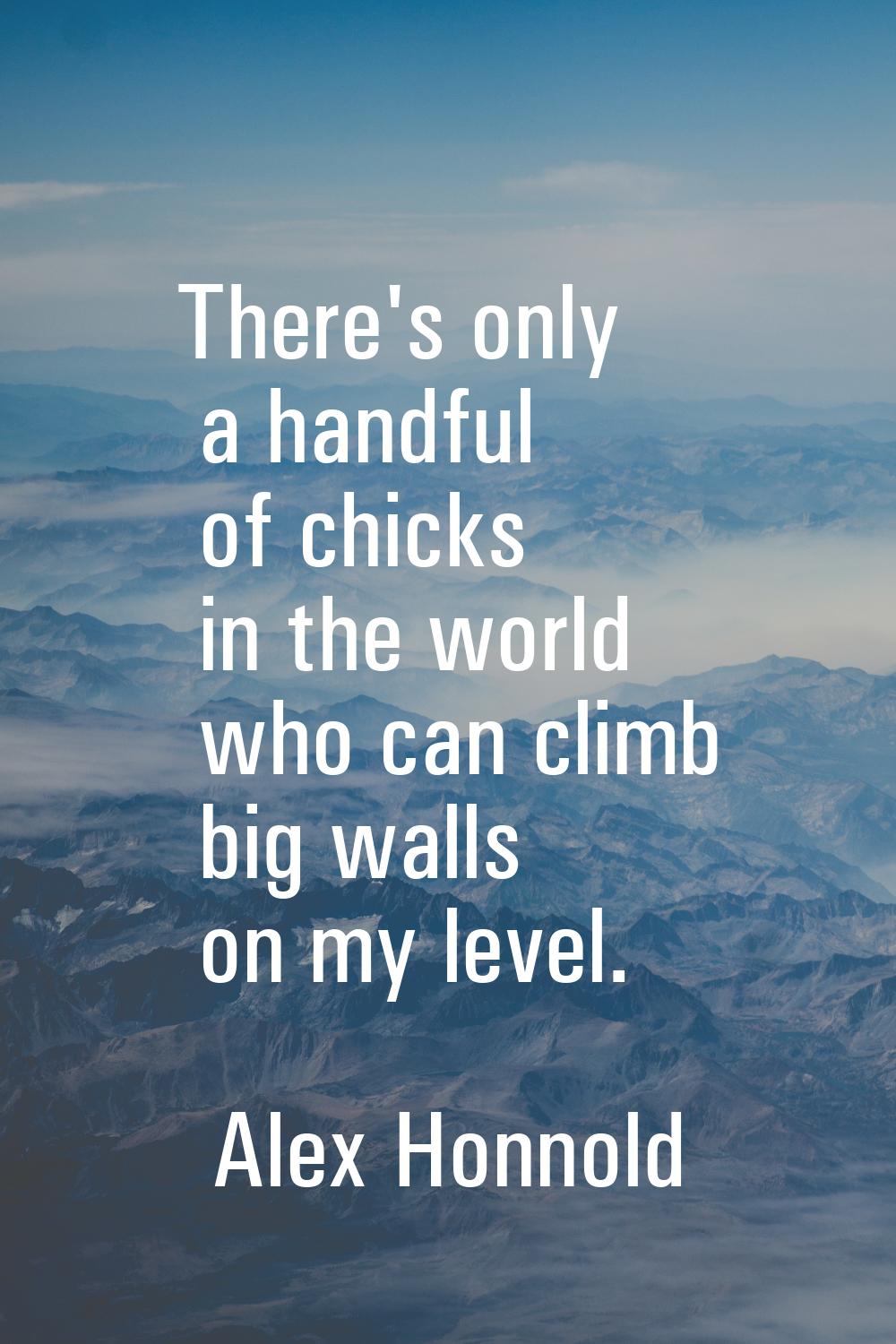 There's only a handful of chicks in the world who can climb big walls on my level.
