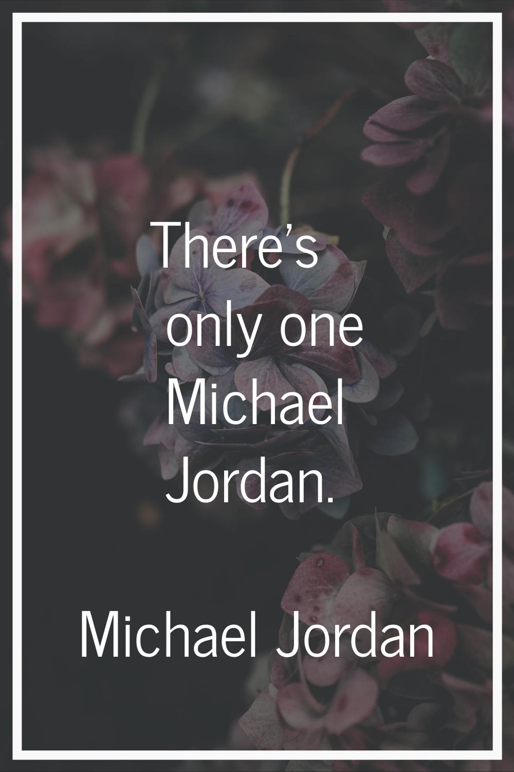 There's only one Michael Jordan.