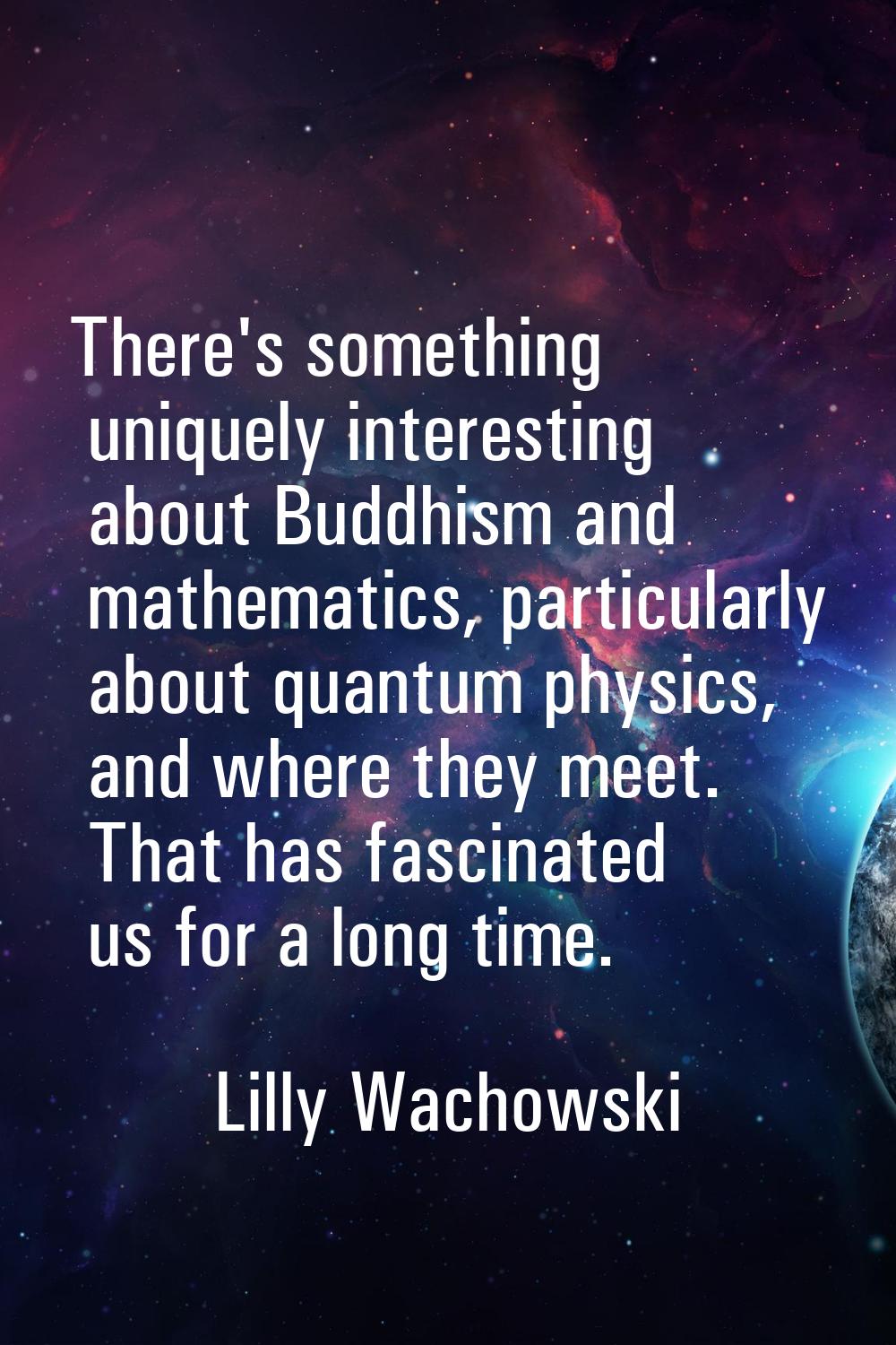 There's something uniquely interesting about Buddhism and mathematics, particularly about quantum p