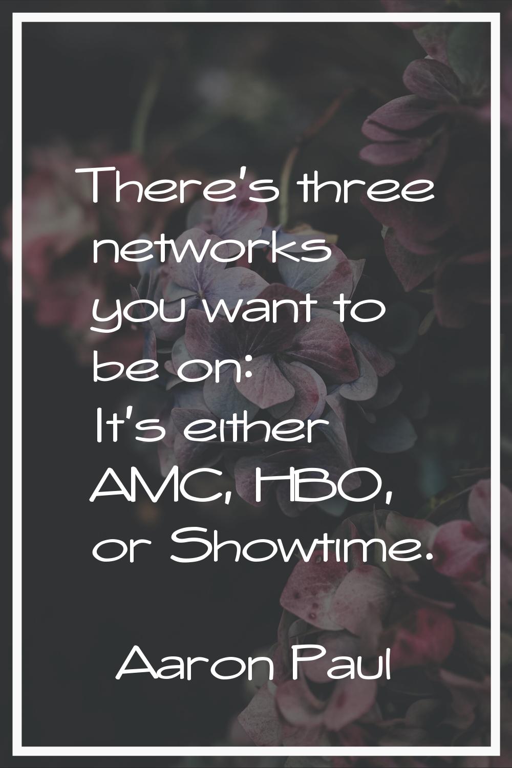 There's three networks you want to be on: It's either AMC, HBO, or Showtime.