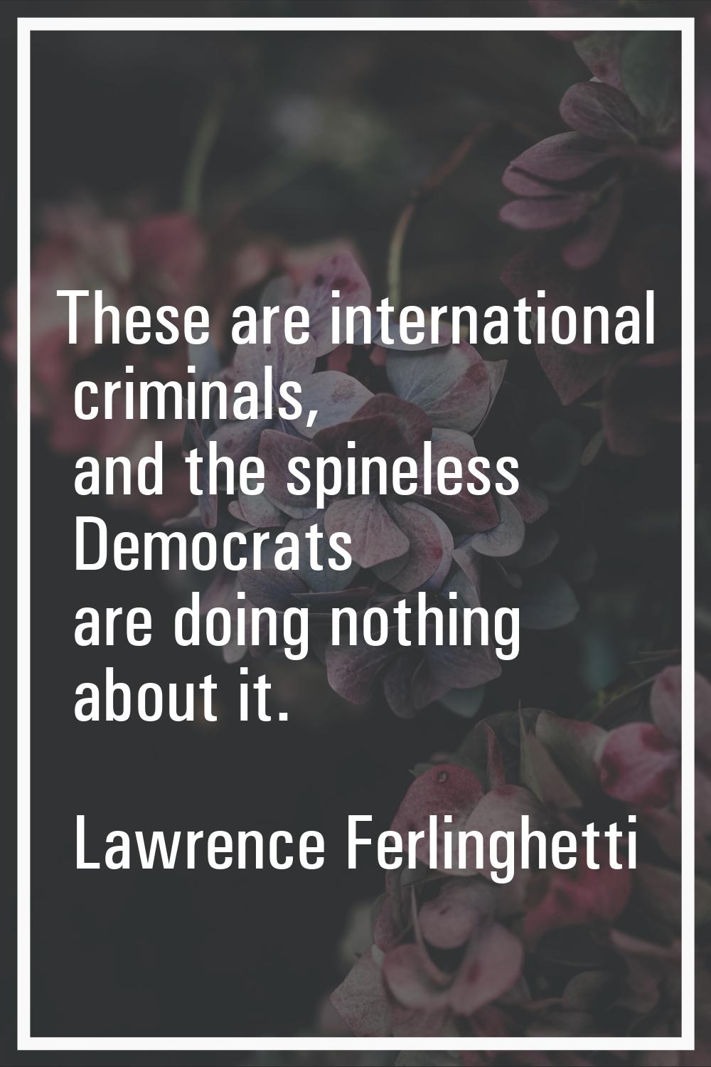 These are international criminals, and the spineless Democrats are doing nothing about it.