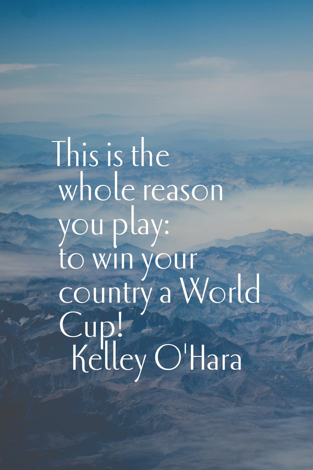 This is the whole reason you play: to win your country a World Cup!