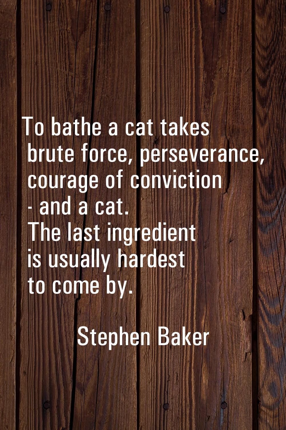 To bathe a cat takes brute force, perseverance, courage of conviction - and a cat. The last ingredi