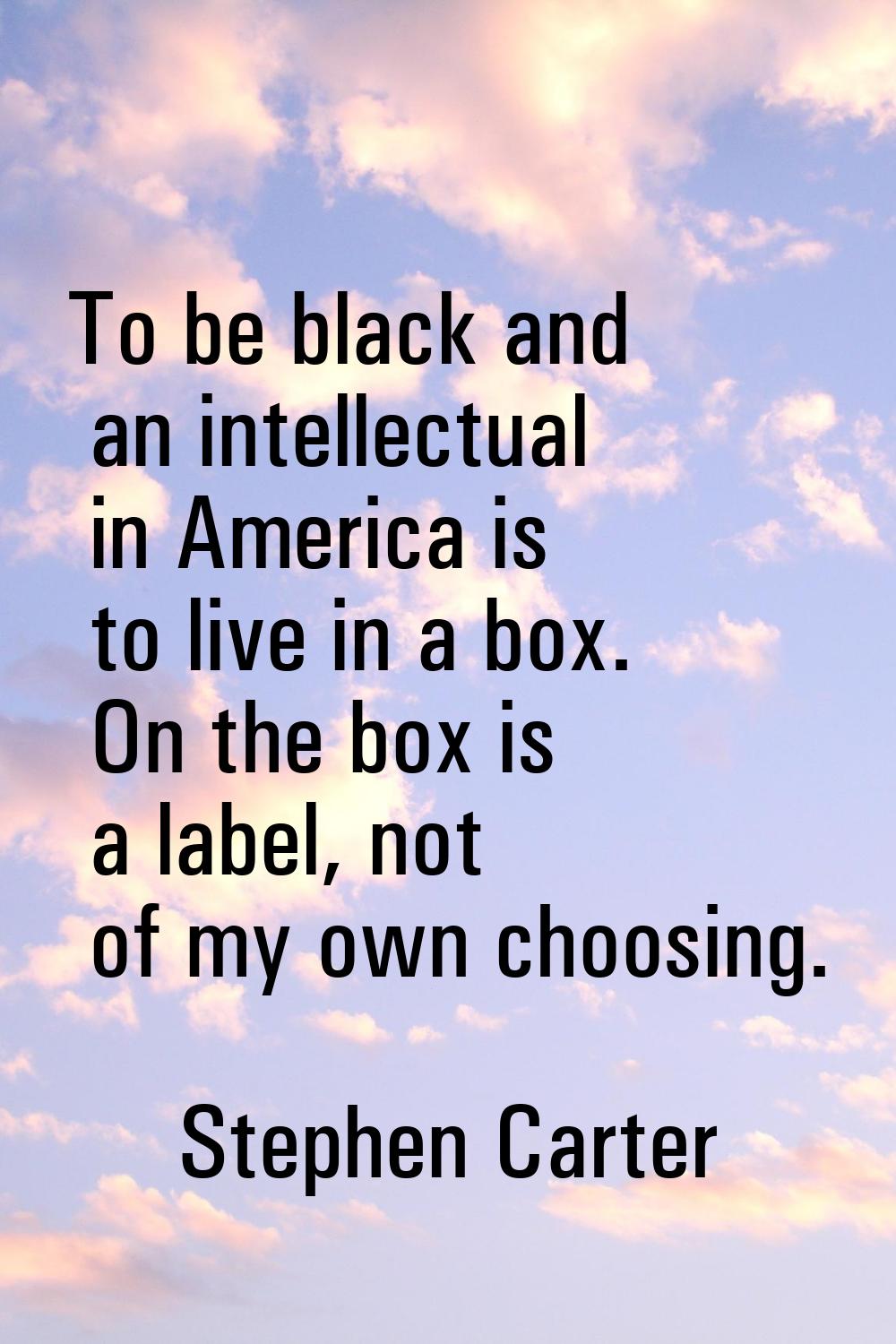 To be black and an intellectual in America is to live in a box. On the box is a label, not of my ow