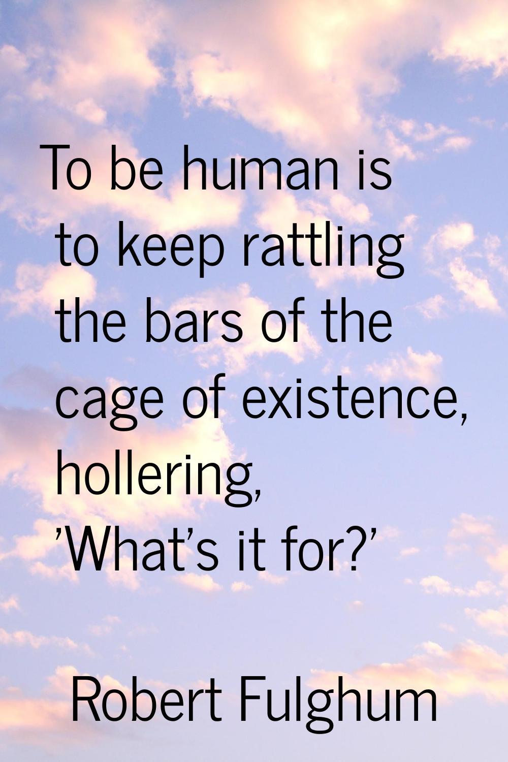 To be human is to keep rattling the bars of the cage of existence, hollering, 'What's it for?'