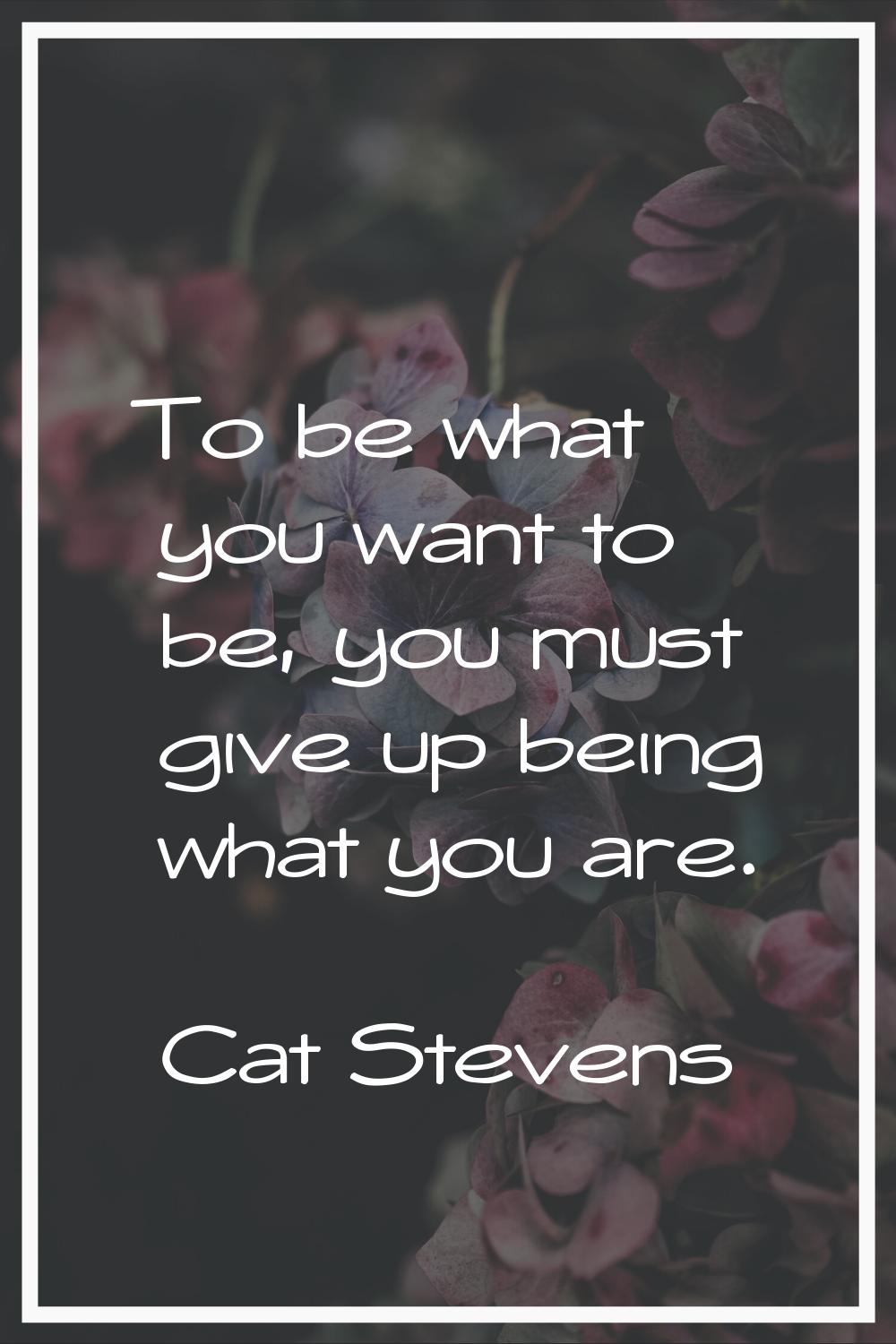 To be what you want to be, you must give up being what you are.