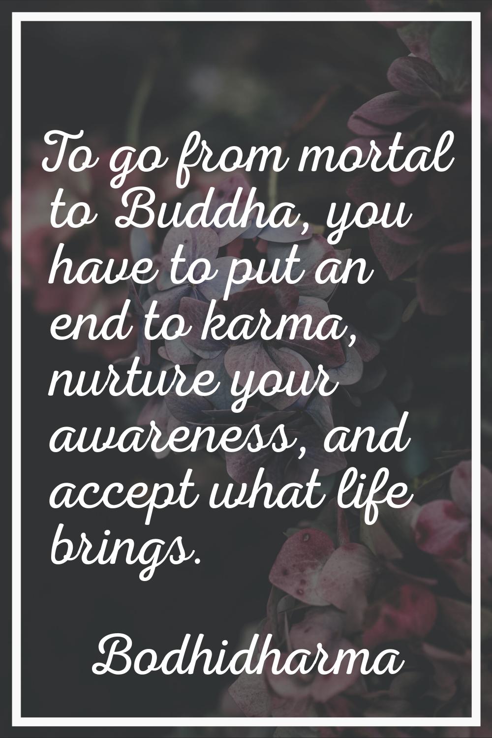 To go from mortal to Buddha, you have to put an end to karma, nurture your awareness, and accept wh
