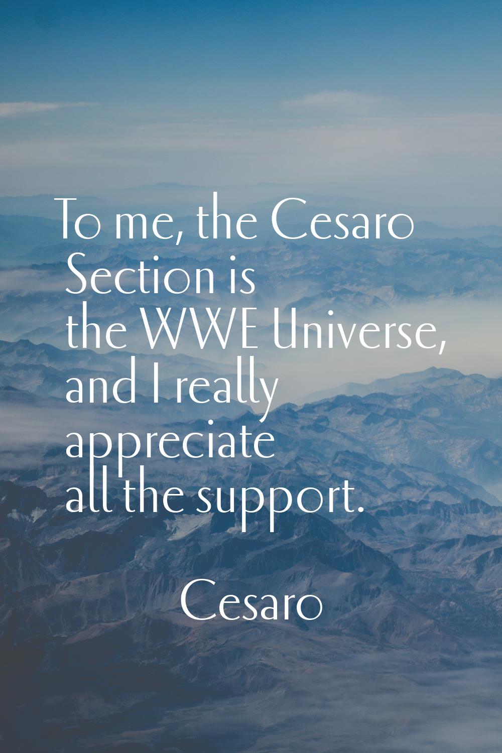 To me, the Cesaro Section is the WWE Universe, and I really appreciate all the support.