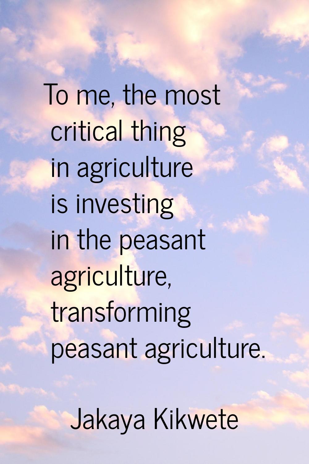 To me, the most critical thing in agriculture is investing in the peasant agriculture, transforming