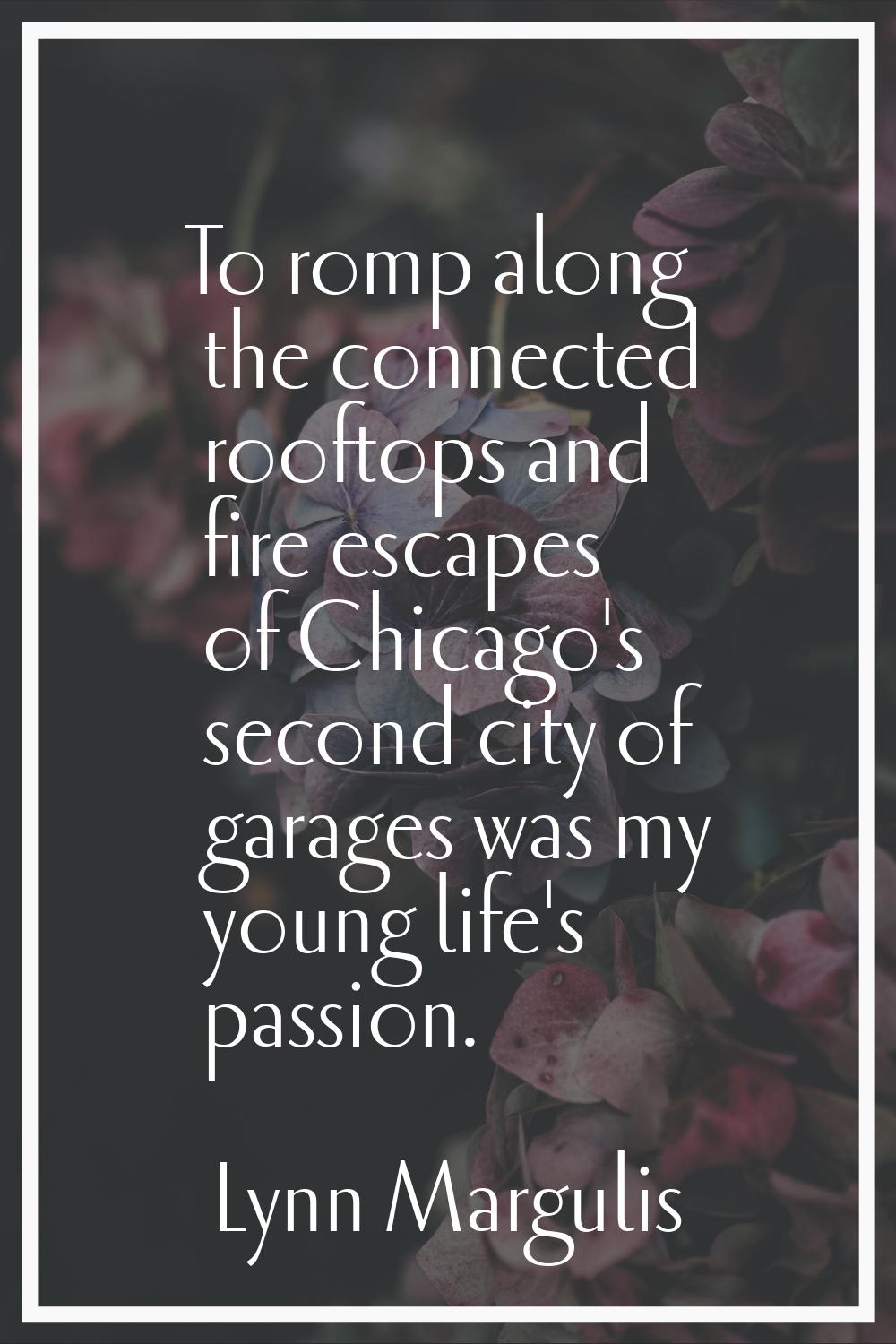 To romp along the connected rooftops and fire escapes of Chicago's second city of garages was my yo