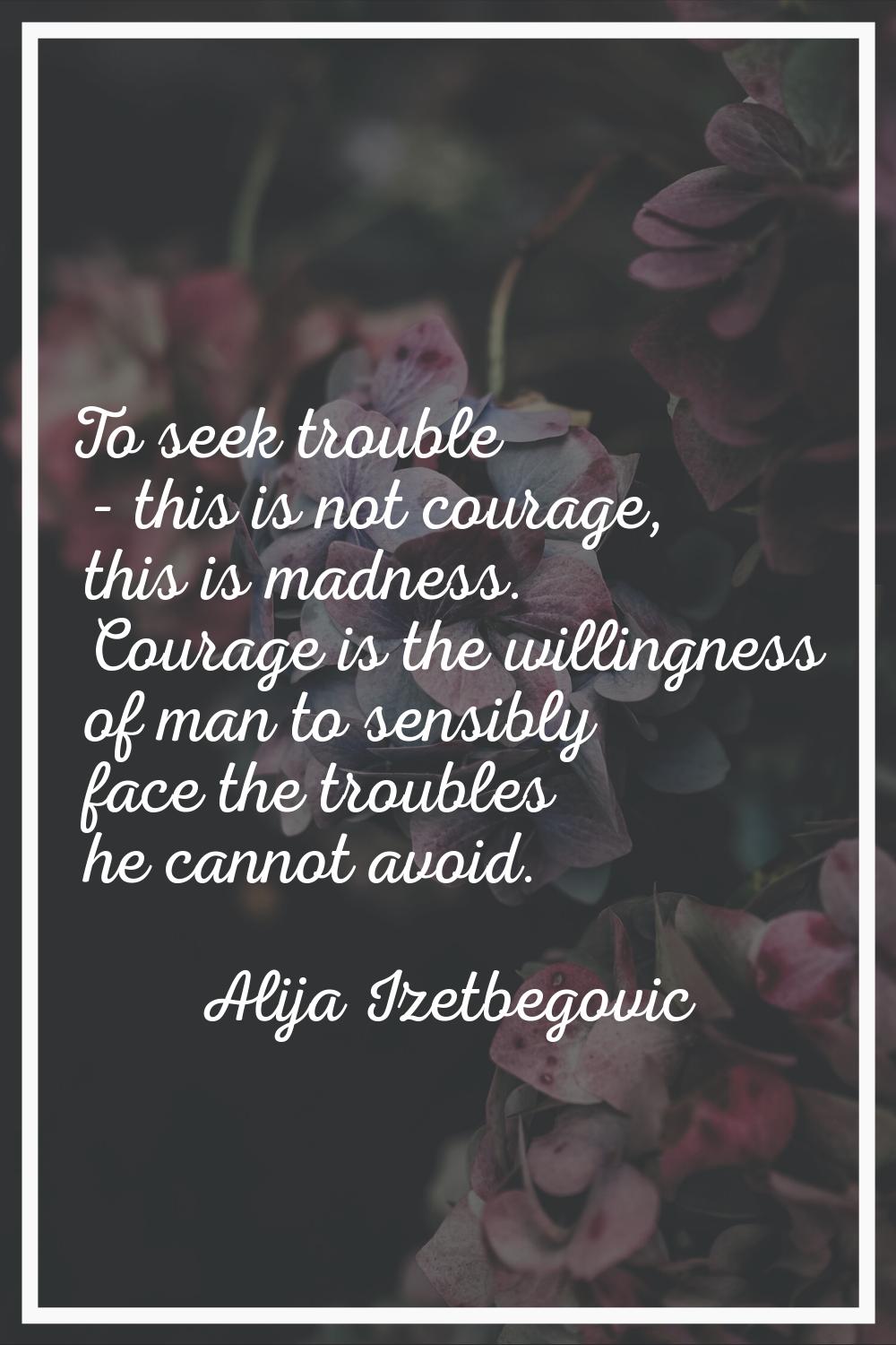To seek trouble - this is not courage, this is madness. Courage is the willingness of man to sensib
