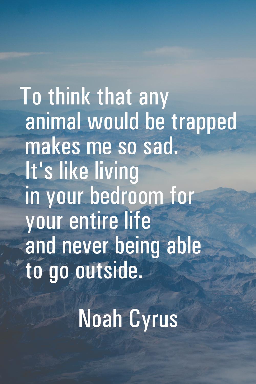 To think that any animal would be trapped makes me so sad. It's like living in your bedroom for you