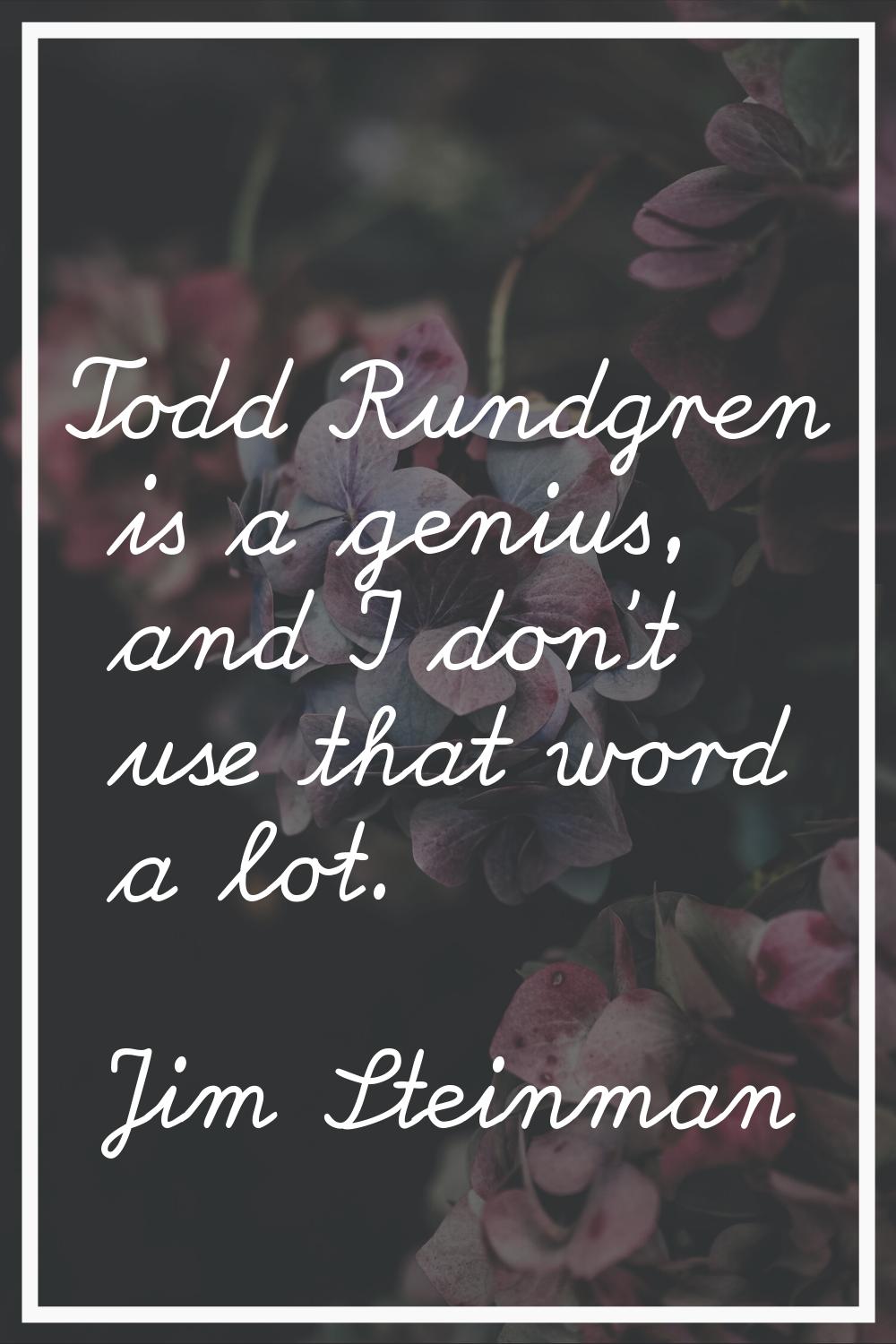 Todd Rundgren is a genius, and I don't use that word a lot.