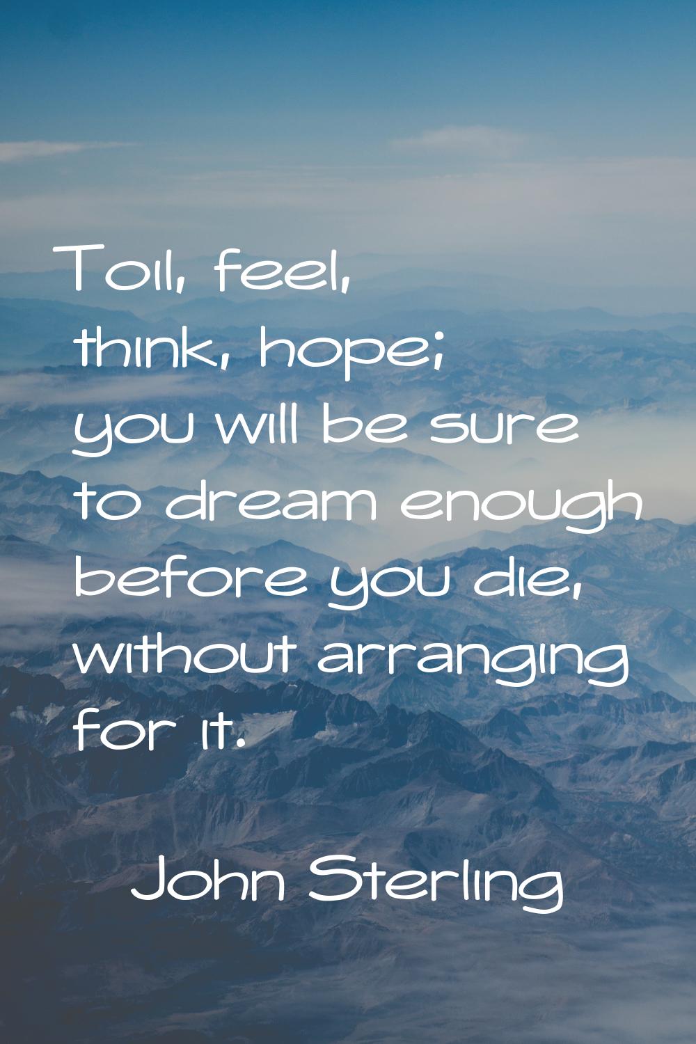 Toil, feel, think, hope; you will be sure to dream enough before you die, without arranging for it.
