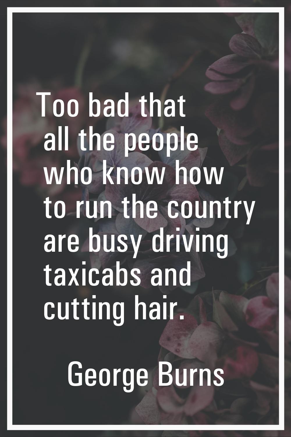 Too bad that all the people who know how to run the country are busy driving taxicabs and cutting h