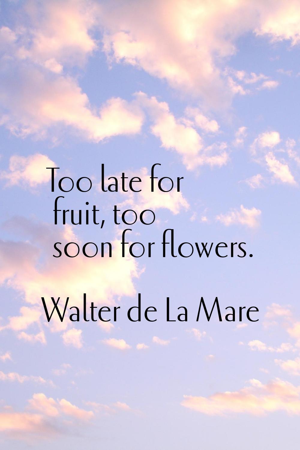 Too late for fruit, too soon for flowers.