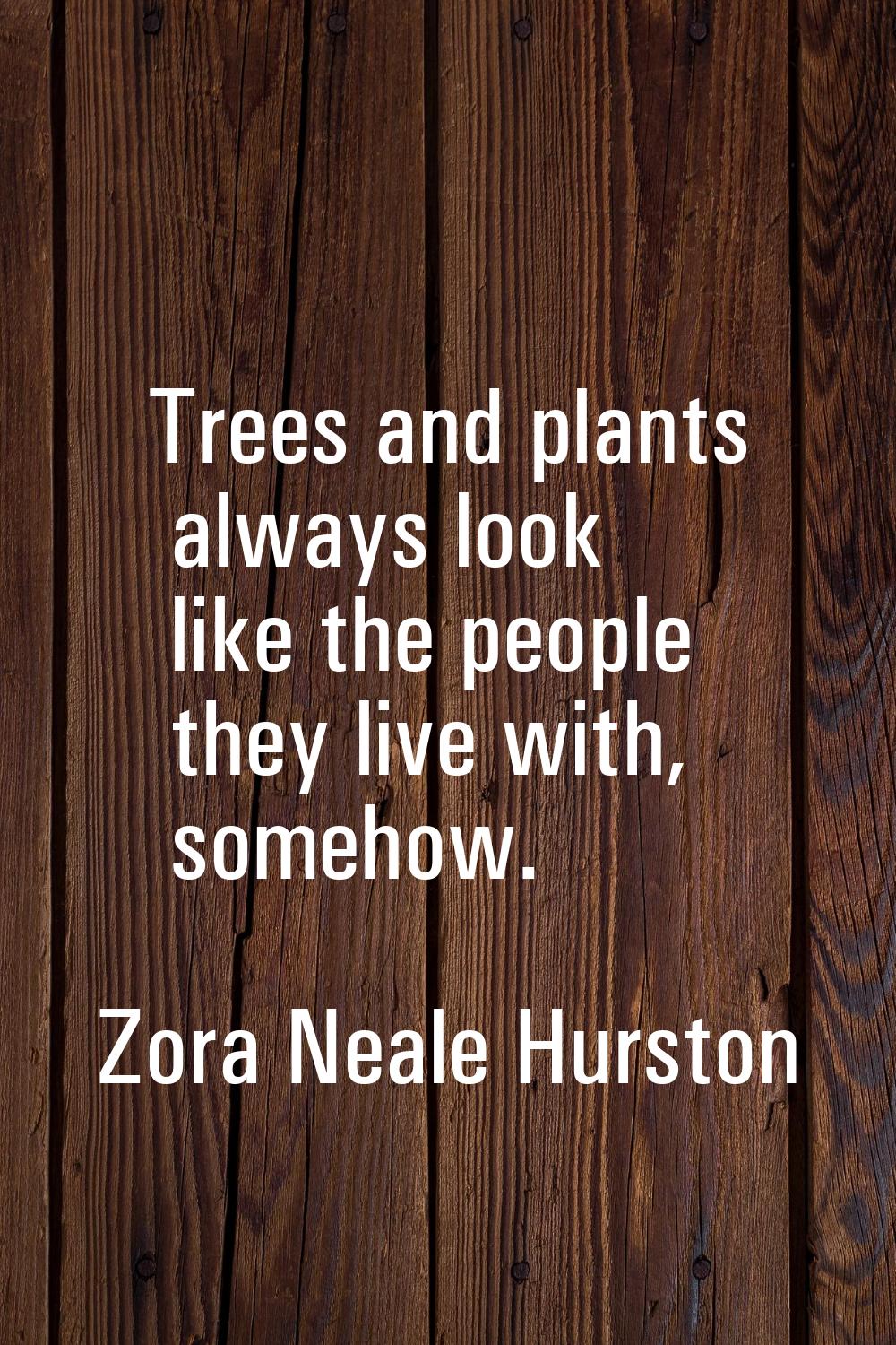 Trees and plants always look like the people they live with, somehow.
