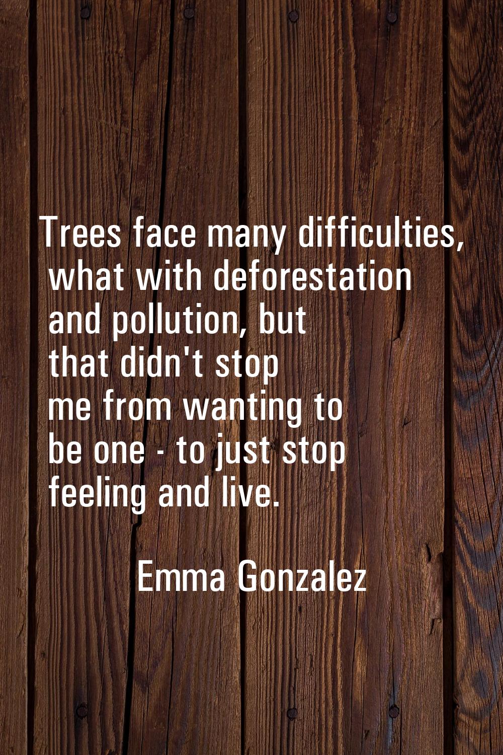 Trees face many difficulties, what with deforestation and pollution, but that didn't stop me from w