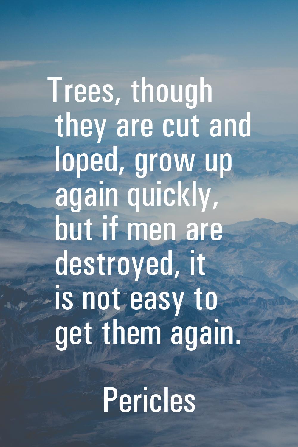 Trees, though they are cut and loped, grow up again quickly, but if men are destroyed, it is not ea