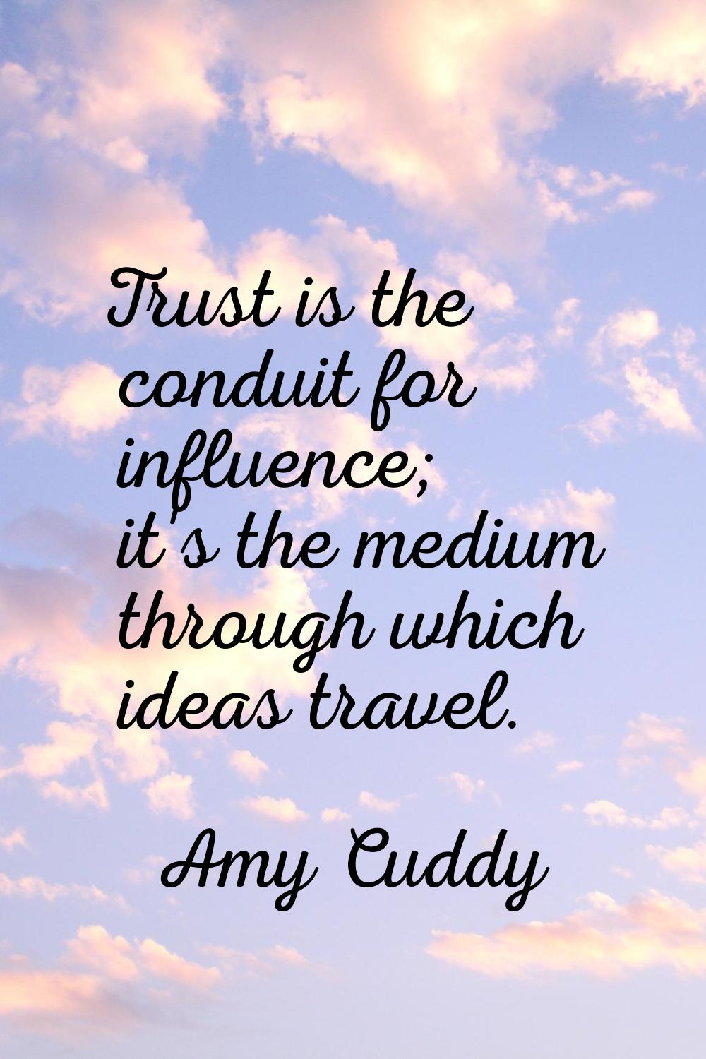 Trust is the conduit for influence; it's the medium through which ideas travel.