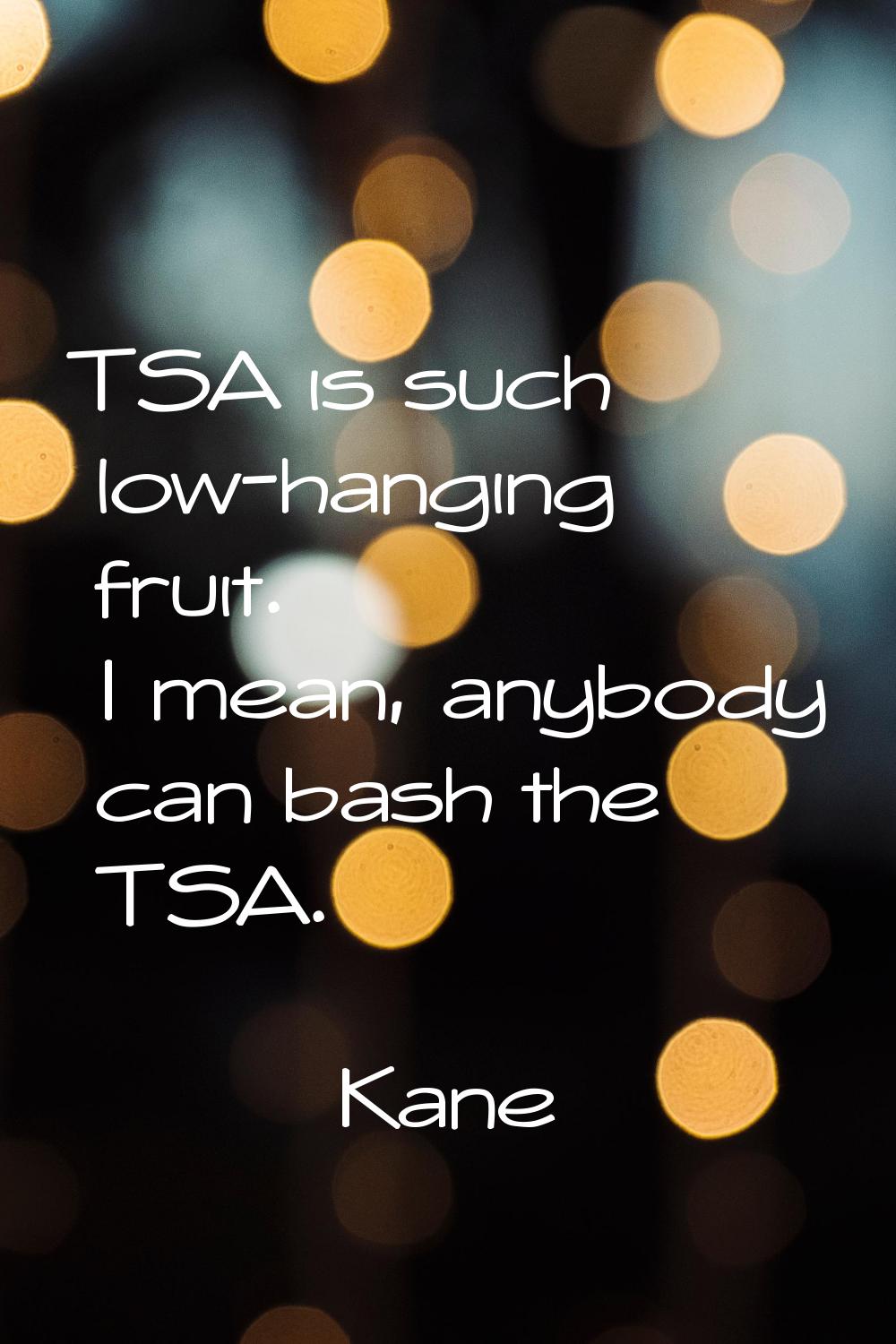 TSA is such low-hanging fruit. I mean, anybody can bash the TSA.