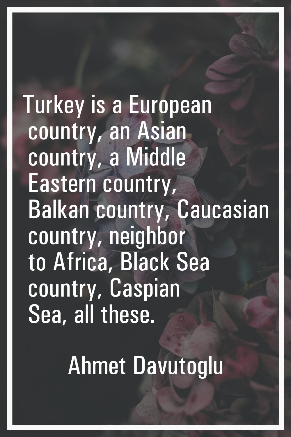 Turkey is a European country, an Asian country, a Middle Eastern country, Balkan country, Caucasian