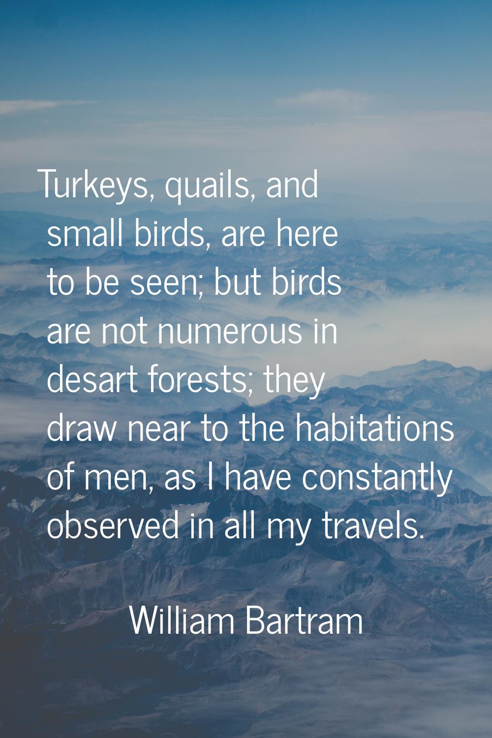 Turkeys, quails, and small birds, are here to be seen; but birds are not numerous in desart forests