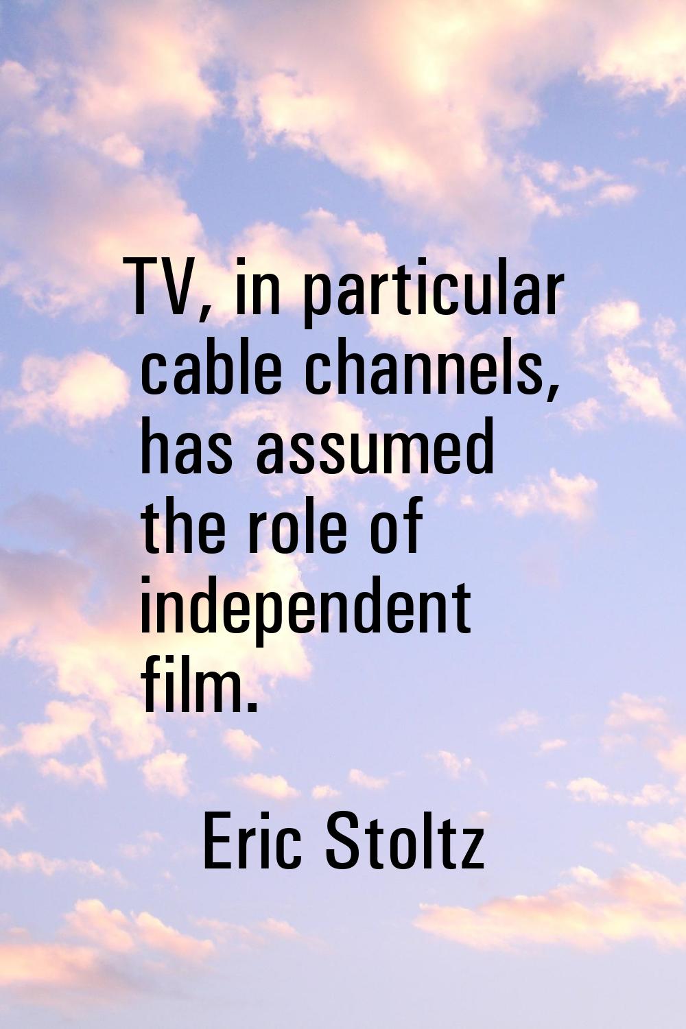 TV, in particular cable channels, has assumed the role of independent film.