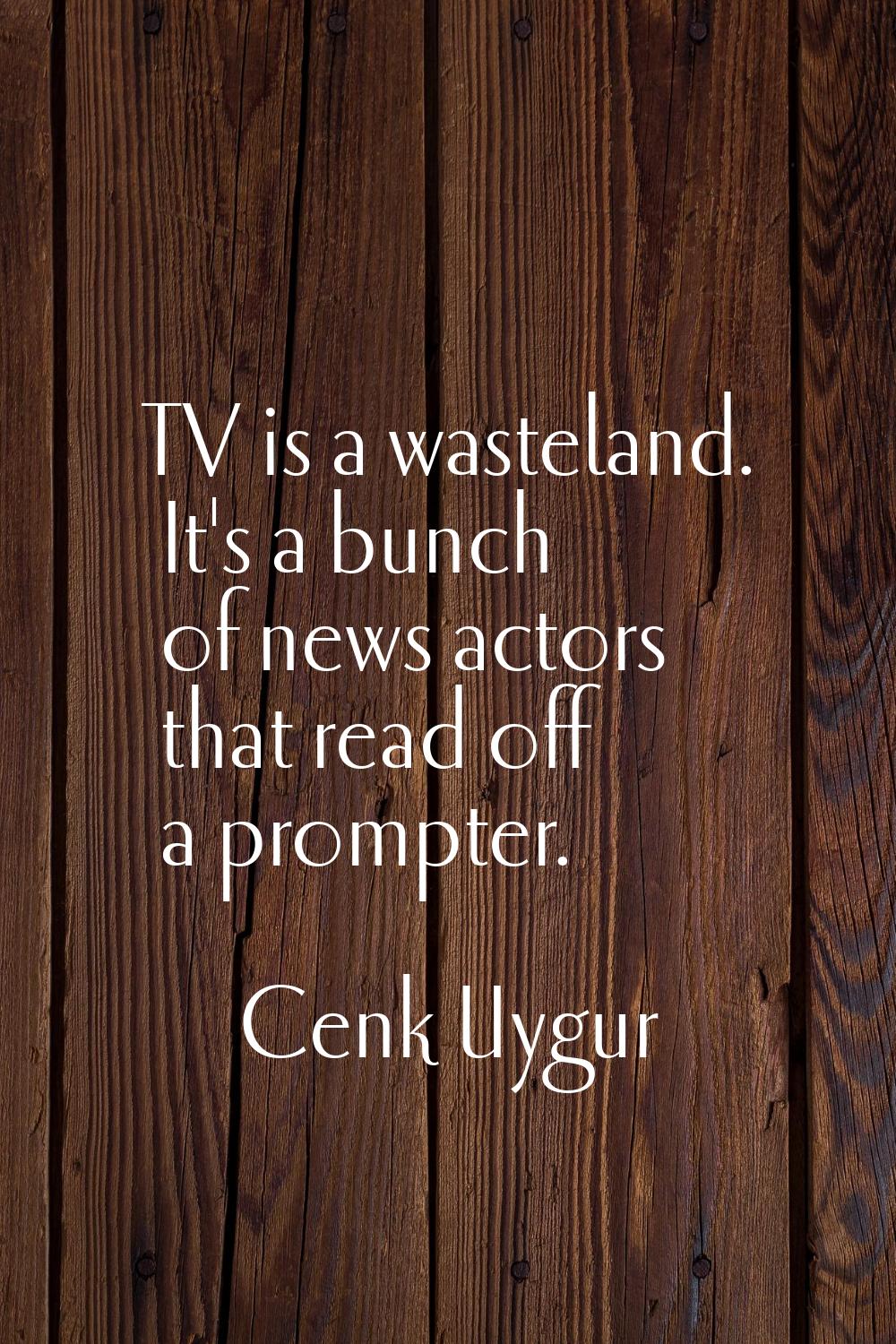 TV is a wasteland. It's a bunch of news actors that read off a prompter.