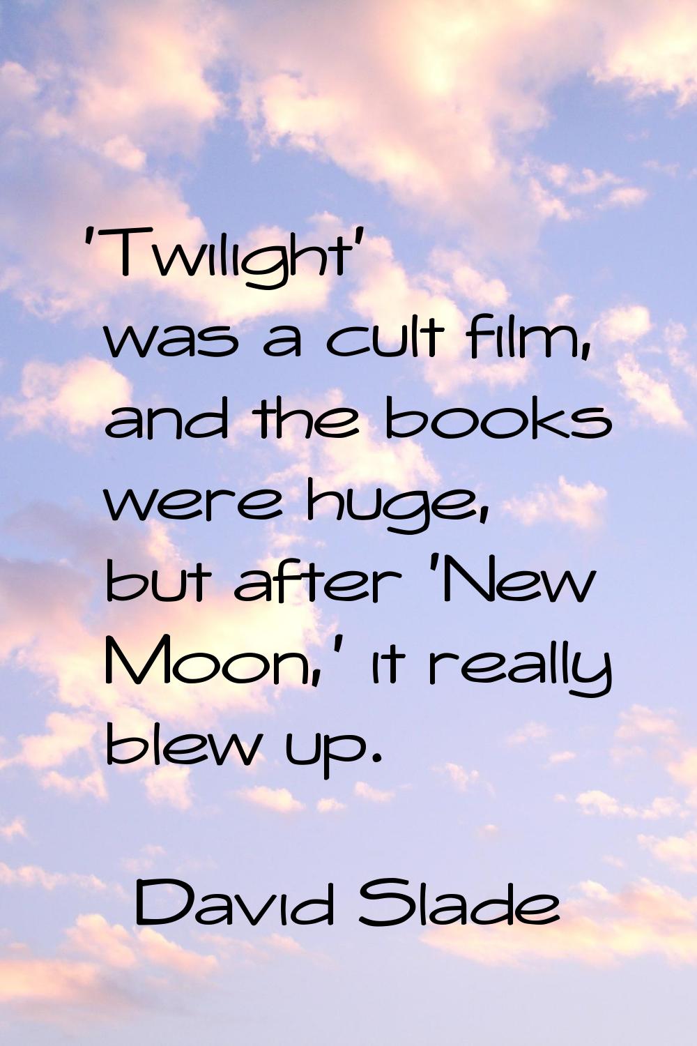 'Twilight' was a cult film, and the books were huge, but after 'New Moon,' it really blew up.