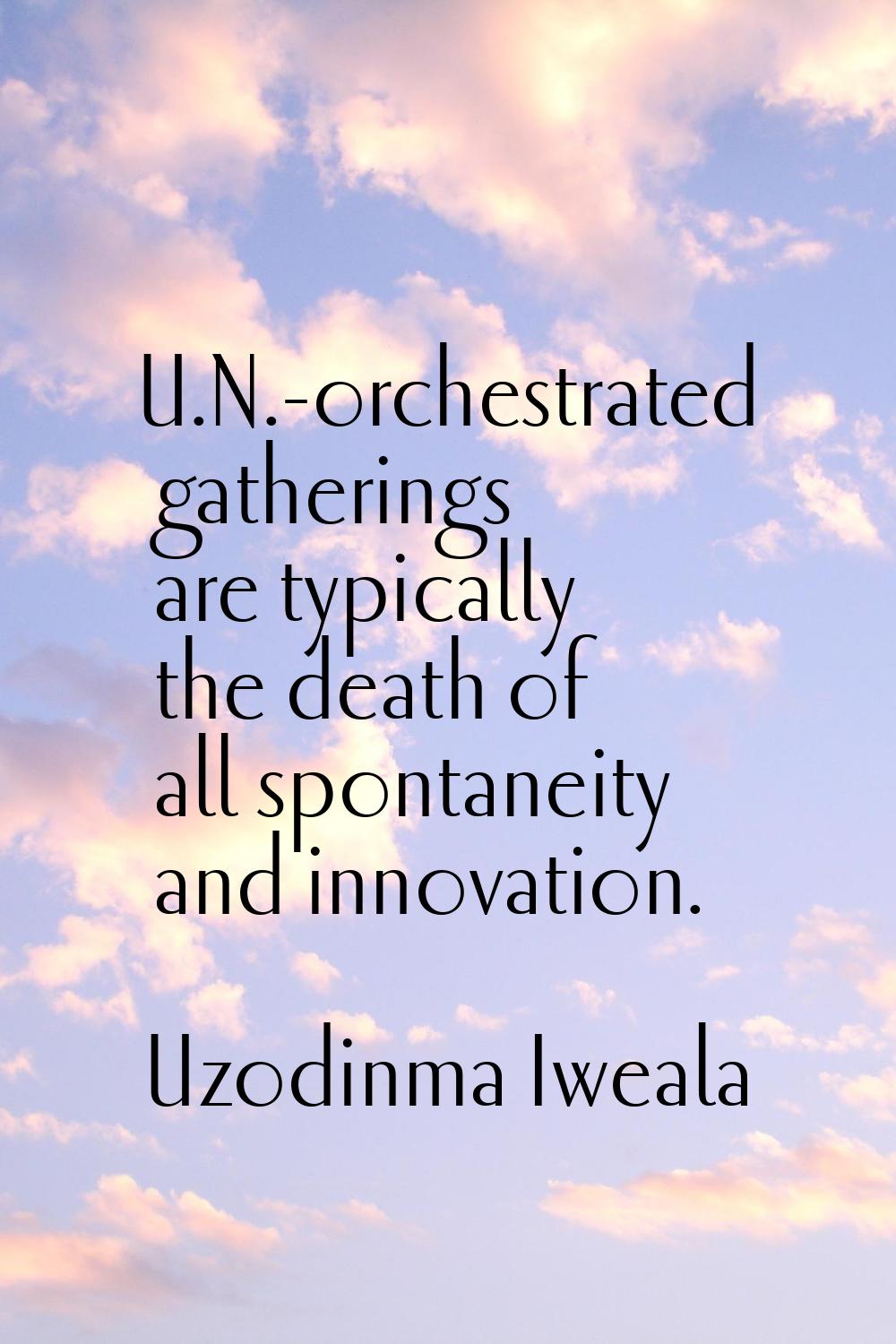 U.N.-orchestrated gatherings are typically the death of all spontaneity and innovation.