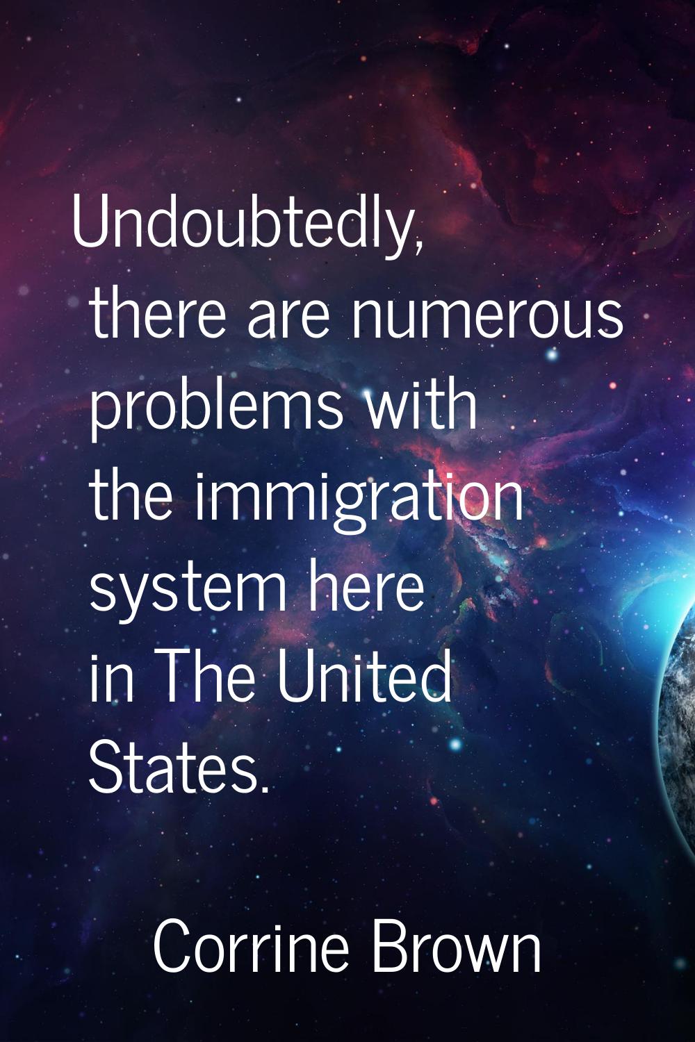 Undoubtedly, there are numerous problems with the immigration system here in The United States.