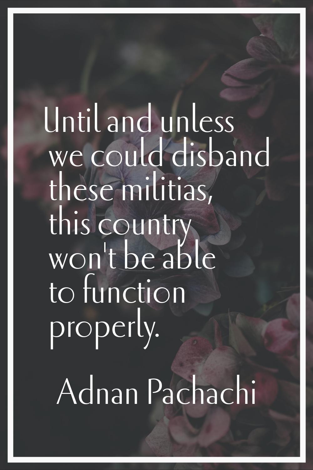 Until and unless we could disband these militias, this country won't be able to function properly.