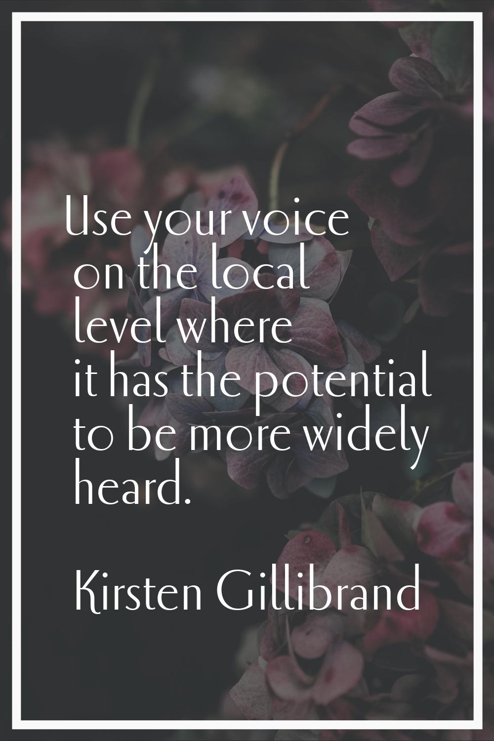 Use your voice on the local level where it has the potential to be more widely heard.