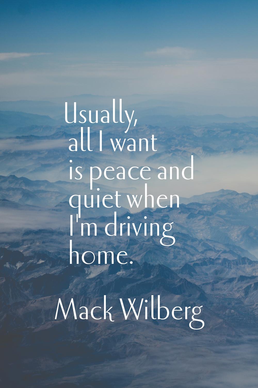 Usually, all I want is peace and quiet when I'm driving home.